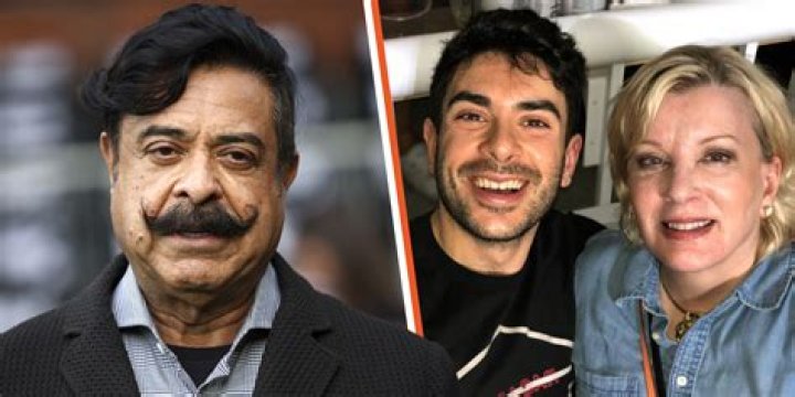 Ann Carlson Khan - Bio, Facts, Family Life of Shahid Khan’s Wife