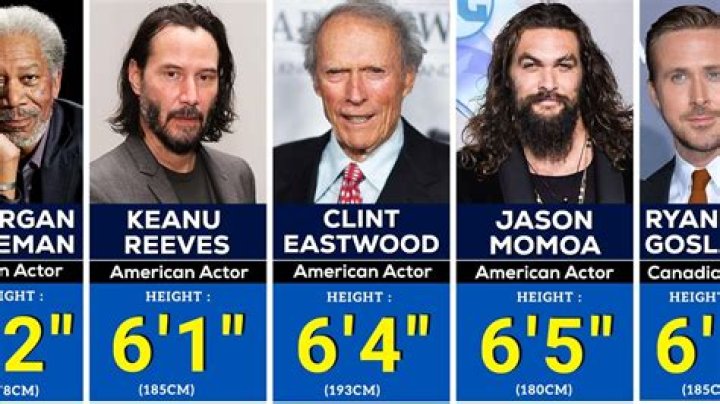 How Tall Is Ennard? – Celebrity
