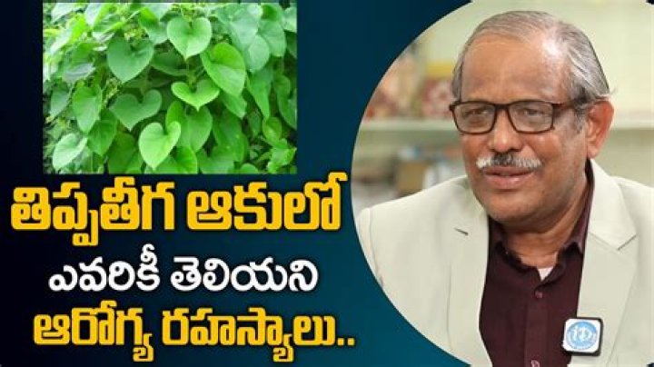 iDREAM Ayurvedam estadísticas de vídeo