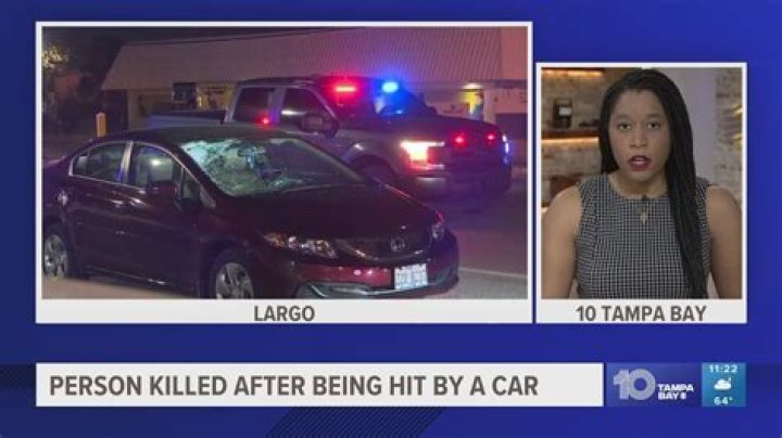 Missing Ryan Osterkamp Found Dead, He Was Hit By A Car | San Diego