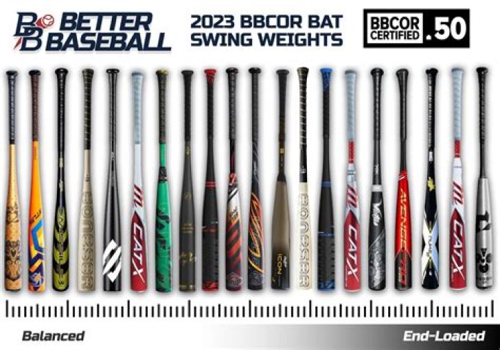 The Baseball Bat Bros Net Worth & Earnings (2024)