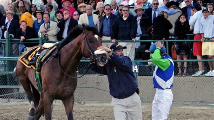 Todd Perkins Obituary, Well-known Horse Trainer