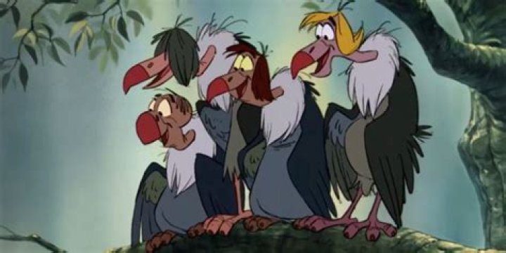 What do the vultures say in Jungle Book? – Celebrity