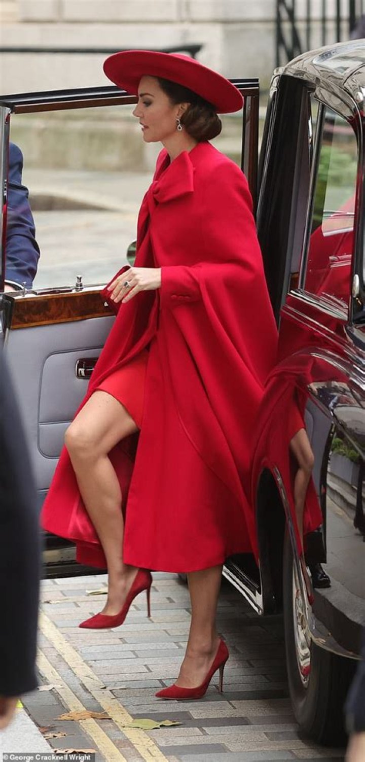 What is the difference between red coat and blue coat? – Celebrity