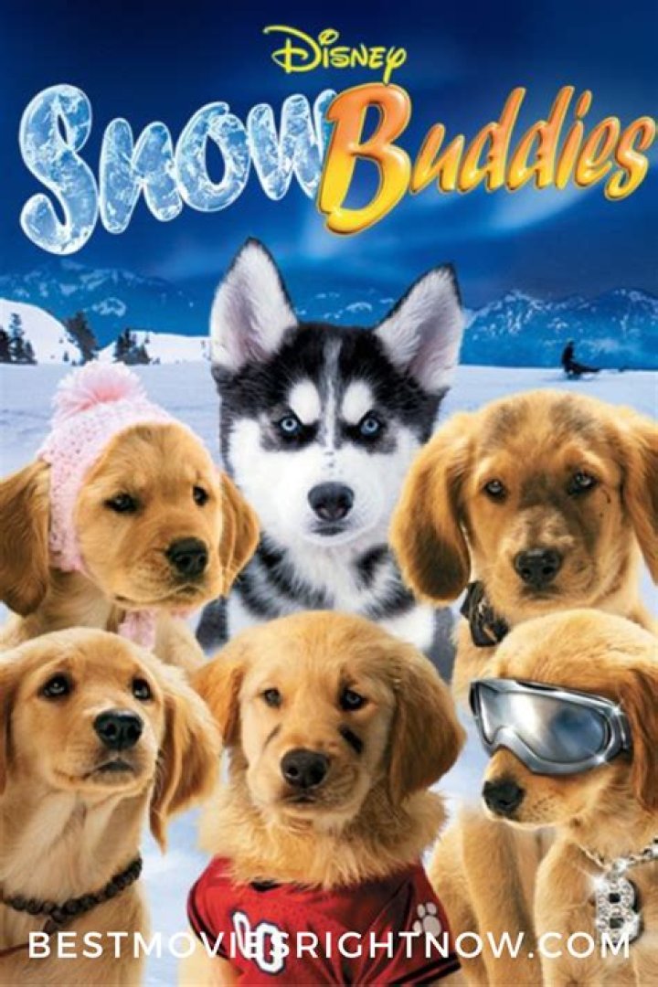 Which puppies died in Snow Buddies? – Celebrity