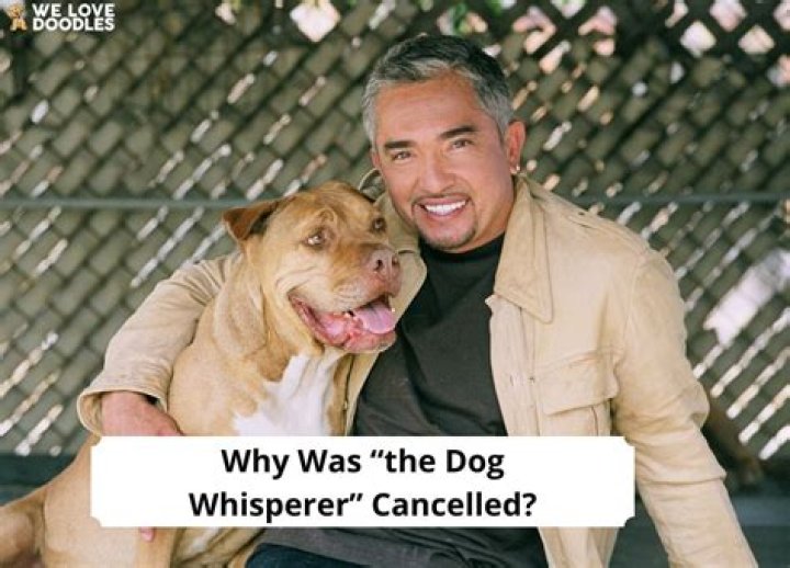 Why was Dog With a Blog Cancelled? – Celebrity
